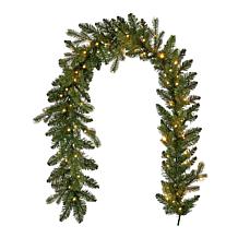 Seasonal LLC Palmetto Pine 6' Pre-Lit RGBW Garland w/Remote Control