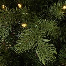 Seasonal LLC Palmetto Pine 6' Pre-Lit RGBW LED Christmas Tree