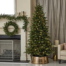 Seasonal LLC Palmetto Pine 6' Pre-Lit RGBW LED Christmas Tree