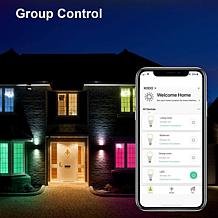 Smart WiFi PAR38 E26 Dimmable Recess Light Bulb LB2 - 6PK