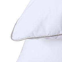 South Street Loft 2-Pack Standard Comfort Pillows
