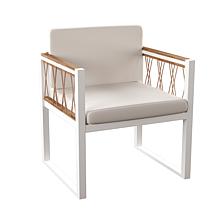 Southern Enterprises Everly Cushioned Outdoor Chairs 2pc Set