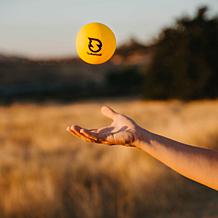 Spikeball Standard Balls 2pk Roundnet Yard Game Accessory