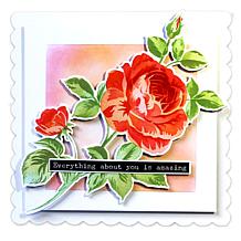 Stamps by Me Layering Floral Stencil Kit