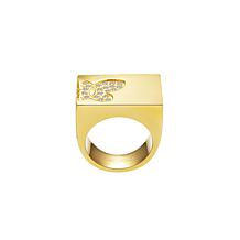Stately Steel Butterfly CZ Signet Ring
