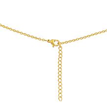 Stately Steel Half Circle Brown Acrylic Pendant and Earring Set