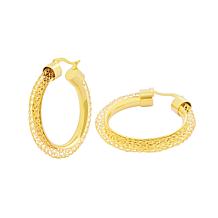 Stately Steel Hallow Mesh Hoop Earrings