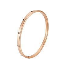 Stately Steel Stainless Steel CZ Bangle Bracelet