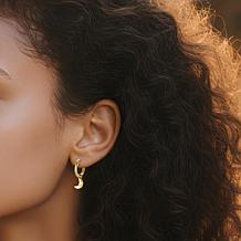 Stately Steel Stainless Steel Moon CZ Dangle Earrings