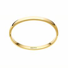 Stately Steel Stainless Steel Round Squared Hinged Bangle Bracelet 