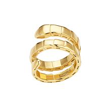 Stately Steel Stainless Steel Snake Ring