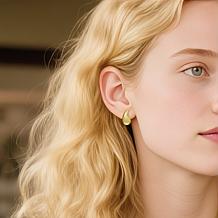 Stately Steel Stainless Steel Water Drop Earrings