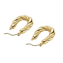 Stately Steel Twisted Hoop Earrings
