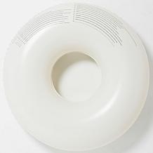 SUNNYLiFE The Vacay Soft Olive Stripe Pool Ring 41.7"