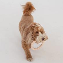 SuperChew Rings Aggressive Chew Toy 2-pack