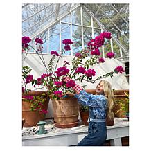 Tower Hill by Christie Brinkley Long Garden Gloves