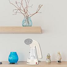 True & Tidy TS-20 Garment Steamer