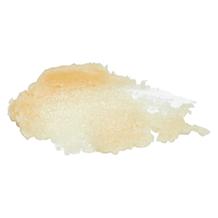 True Moringa Shea and Moringa Balm