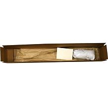 Trumpet Vine Orange Root Stock