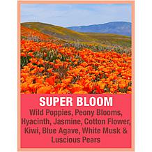 Tweak'd by Nature SuperBloom 2XL Lift & Style ThermoFoam-to-Elixir AS