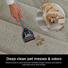 Upright Carpet & Area Rug Cleaner for Pets