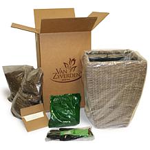 Van Zyverden Angel Martin Canna Patio Kit with Rattan Planter