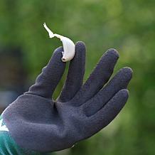 Van Zyverden Elephant Garlic Set of 3 Cloves