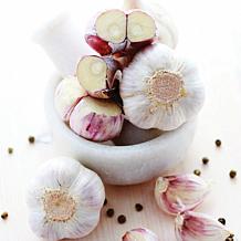 Van Zyverden Garlic Softneck Artichoke Sicilian Set of 5 Bulbs