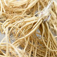 Van Zyverden Hostas Premium Blend - Set of 3 Roots