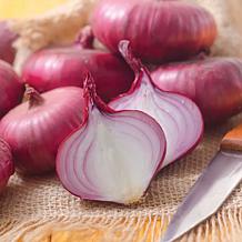 Van Zyverden Onion Sets Red Set of 250 Bulbs