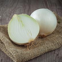 Van Zyverden Onion Sets White Set of 250 Bulbs