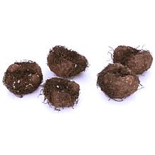 Van Zyverden Patio Begonia Golden Balcony w/ Red Planter, Soil & Pot