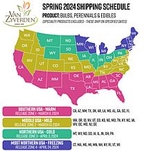 Van Zyverden Patio First Romance Lilies Kit