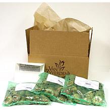 VanZyverden Asclepias Save The Monarchs Oasis Set of 11 Roots