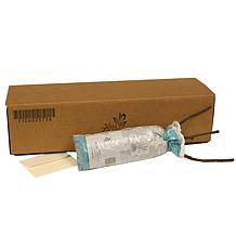 VanZyverden Climbing Rose CL Blaze - 1 Root Stock