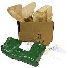 VanZyverden Peonies Sarah Bernhardt 6-piece Root Set