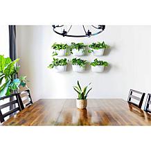 WallyGrow Eco Mountable Wall Planters - 3-pack