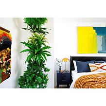 WallyGrow Eco Mountable Wall Planters - 3-pack