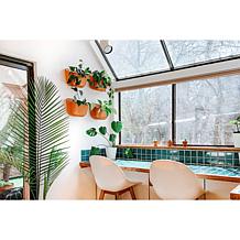 WallyGrow Eco Mountable Wall Planters - 3-pack