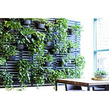 WallyGrow Eco Mountable Wall Planters - 3-pack