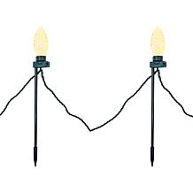 Winter Lane Oversized C9 20-Piece String Lights with Remote