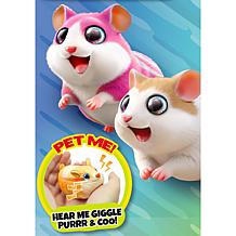 Zooomie Pets Rollin' Ball & Zoomin' Wheel Interactive Bundle