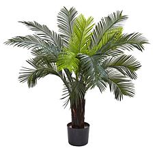 3 Ft. Cycas Tree with 15 Leaves 