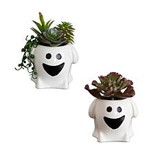 5-in Succulent Garden -Set of 2 by Nearly Natural