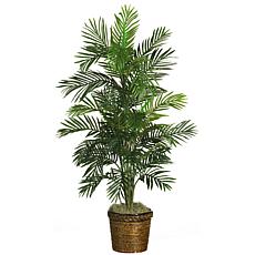 56" Areca Tree with Basket