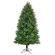 6.5’ Fraser Fir  Christmas Tree with 550 Gum Ball Lights