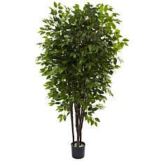 6.5 Ft. Deluxe Ficus Tree