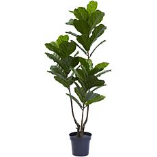 65 in. Fiddle Leaf Tree 