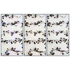 "As Is" august & leo Crystal Beaded String Lights Set of 3