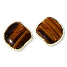 "As Is" Connie Craig Carroll Jewelry Morgan Gemstone Stud Earrings